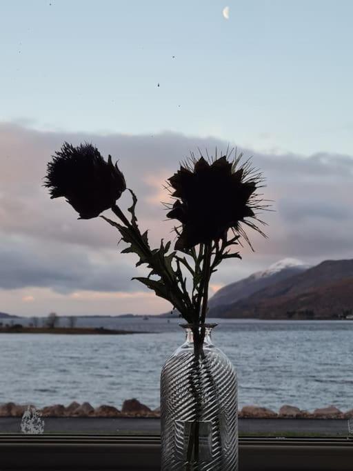 Fort William Loft On Shore Front With Amazing Views Caol Buitenkant foto